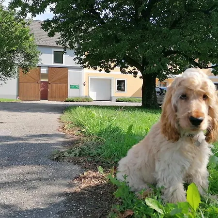 בית חווה Peterseil's Radl מטהאוזן