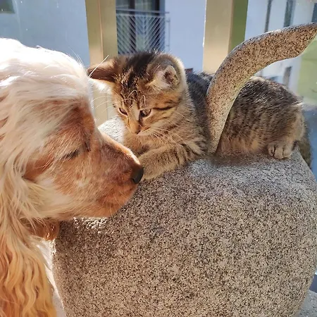 Peterseil's Radl בית חווה מטהאוזן