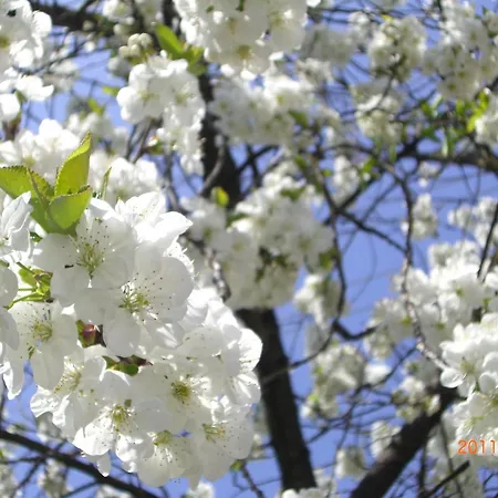 Alloggio per agriturismo Peterseil's Radl