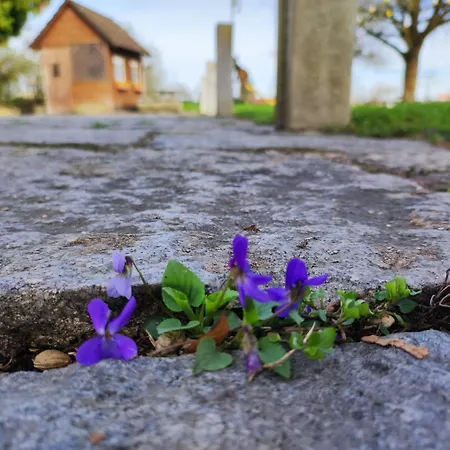 Peterseil's Radl Zimmer Farm stay Mauthausen