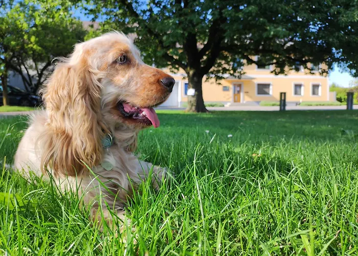 Peterseil's Radl Alloggio per agriturismo