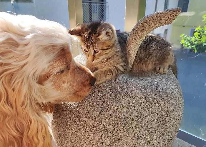 Peterseil's Radl Séjour à la ferme Mauthausen