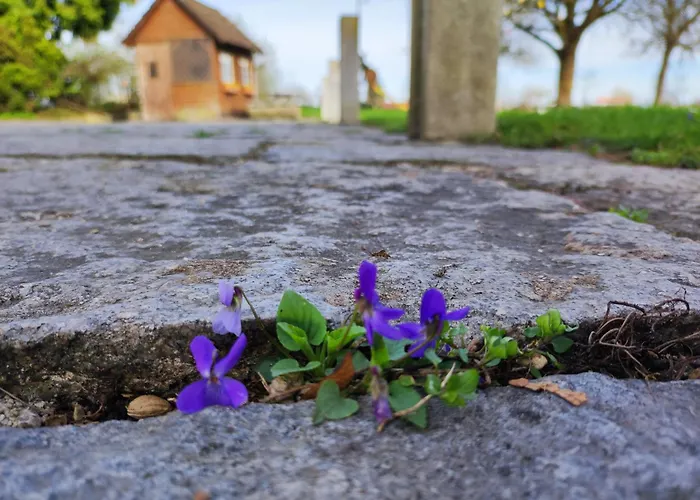 Peterseil's Radl Séjour à la ferme Mauthausen