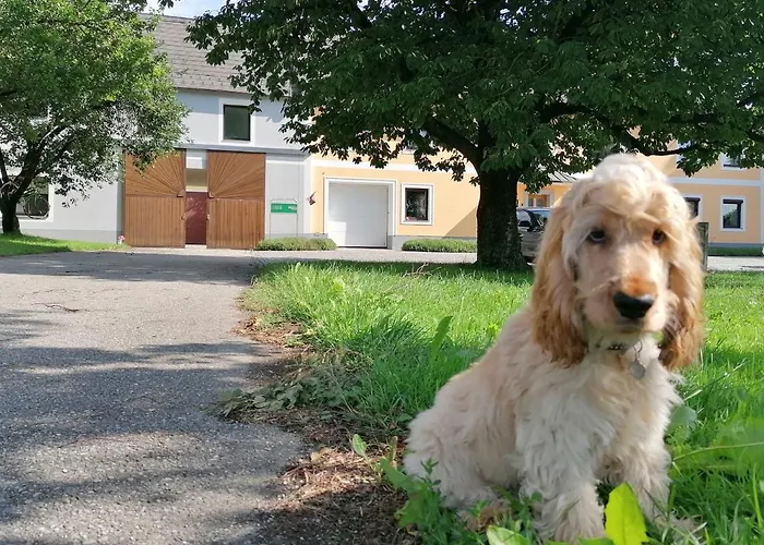 Κατάλυμα σε φάρμα Peterseil's Radl Μαουτχάουζεν