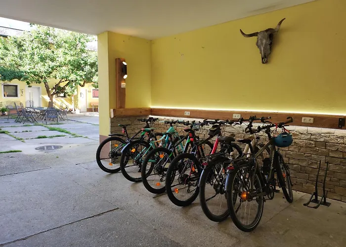 Κατάλυμα σε φάρμα Peterseil's Radl Μαουτχάουζεν