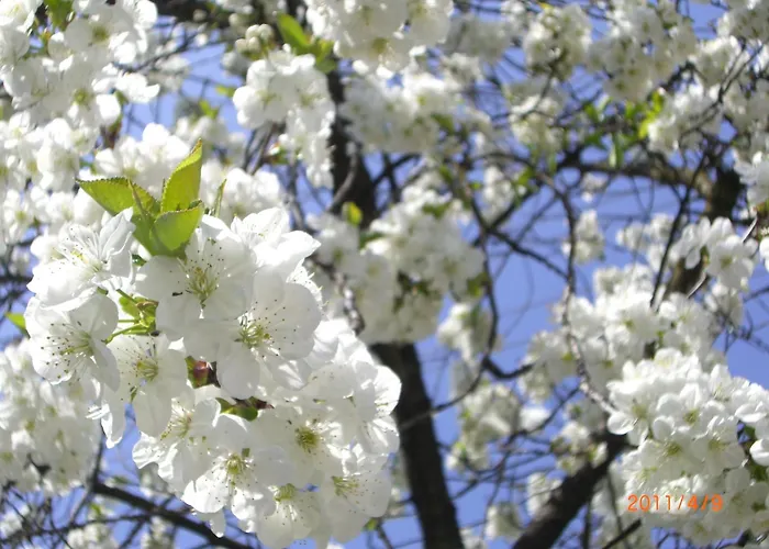 Κατάλυμα σε φάρμα Peterseil's Radl